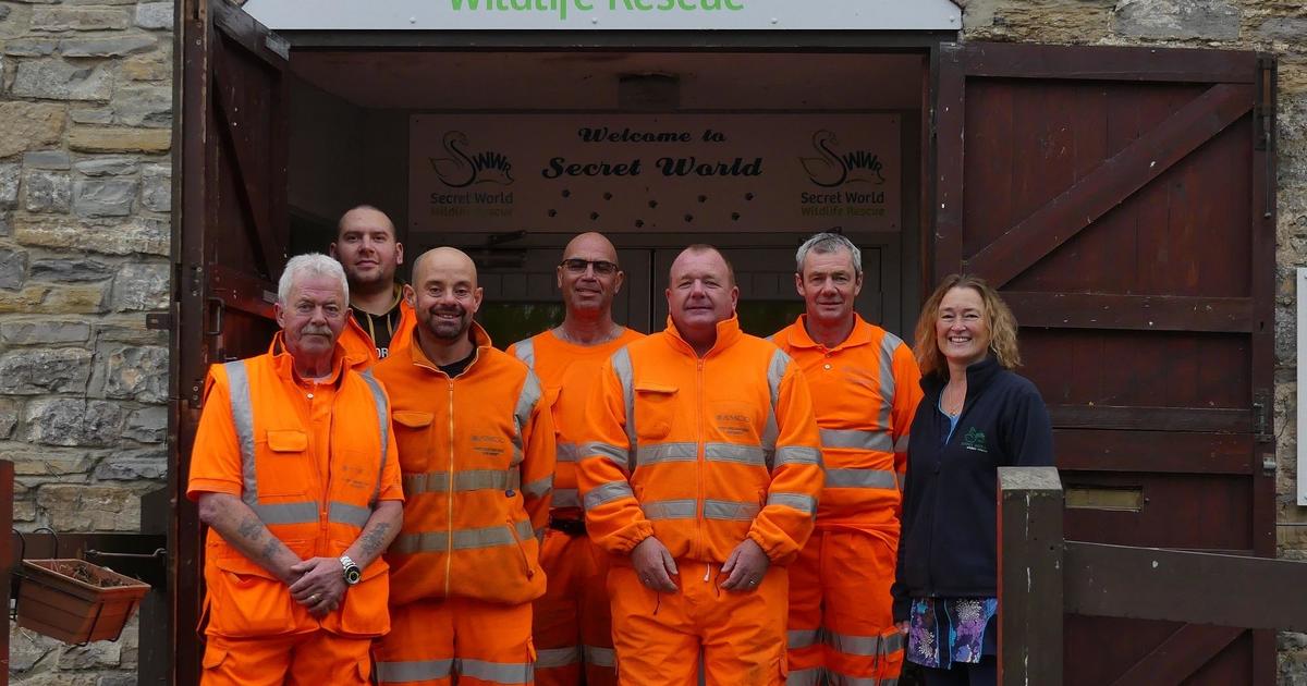 Rescuing the Wildlife Rescue Centre! | AmcoGiffen